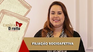 Explica Direito Filiação Socioafetiva  2019 [upl. by Eugenia]